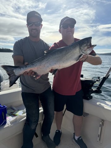 This beautiful Chinook salmon was landed close to the Bamfield Harbour Mouth at Brady’s Beach using an AORL 12 Hoochie